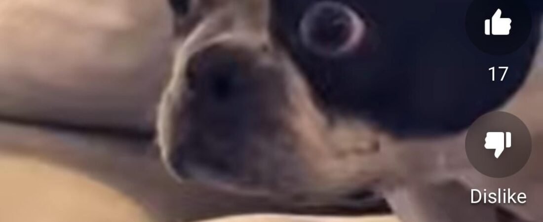 Join group chat and get a new friend and then we go live together and I cater