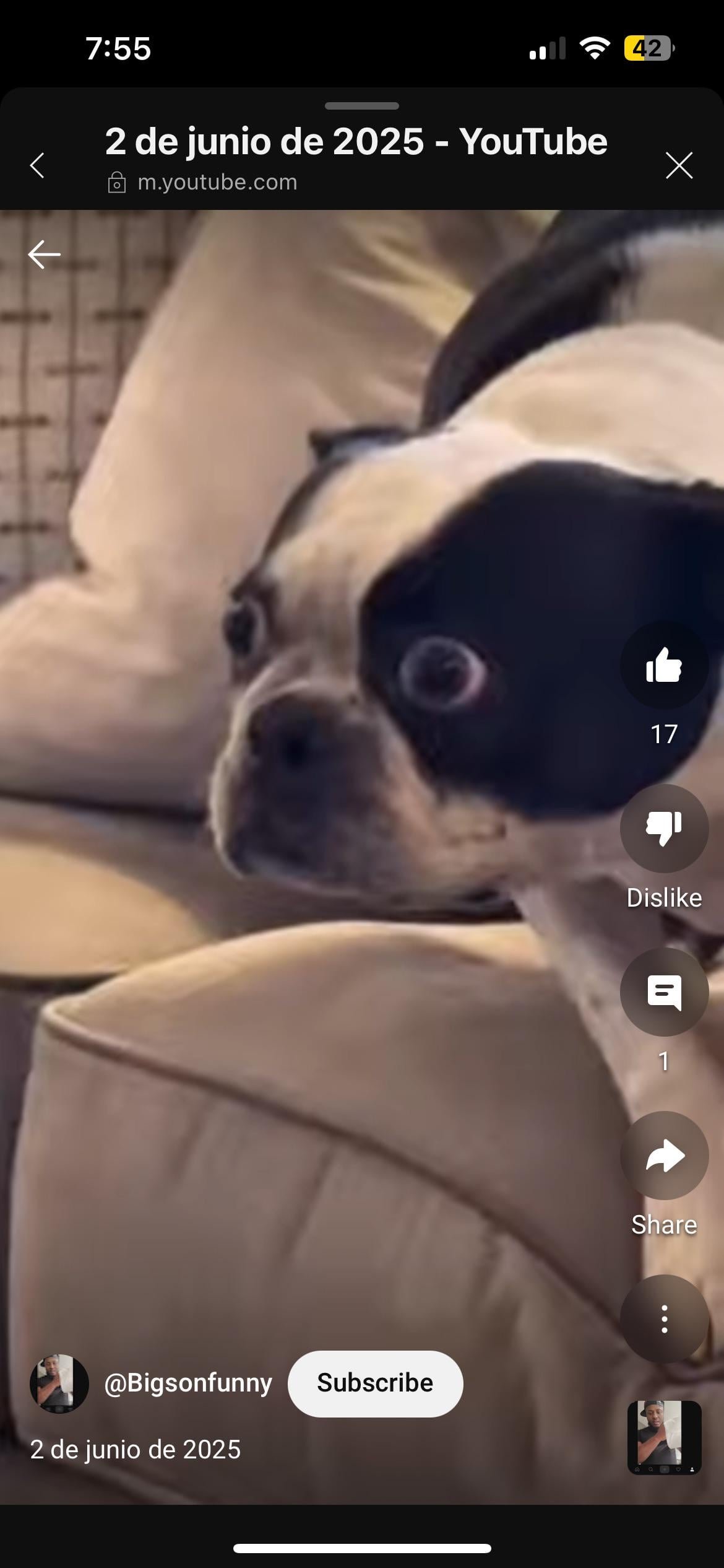 Join group chat and get a new friend and then we go live together and I cater